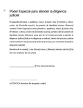 Poder Especial para Atender Asunto Judicial