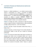 Contrato de Servicios Profesionales